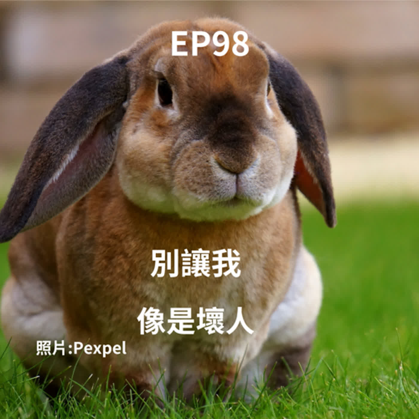 EP98 一再約離世溝通好嗎？ 兔兔：你的傷心讓我成為好像壞人一樣...(柚子貍&安妮動物園/從0到1媒體人X斜槓) .